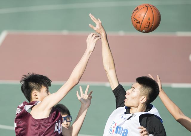 纤纤电视剧在线观看免费